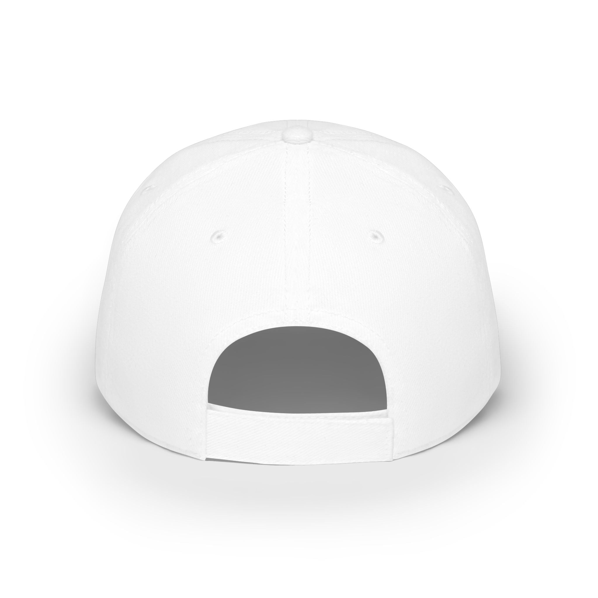 The Eagle Has Landed / Trump Prophecy Returns Fall of 2022 / Low Profile Baseball Cap